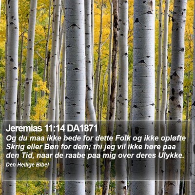 Jeremias 11:14 DA1871 Bible Verse Image