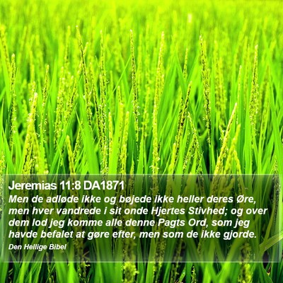 Jeremias 11:8 DA1871 Bible Verse Image