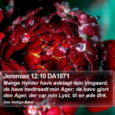 Jeremias 12:10 DA1871 Bible Verse Image