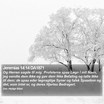 Jeremias 14:14 DA1871 Bible Verse Image