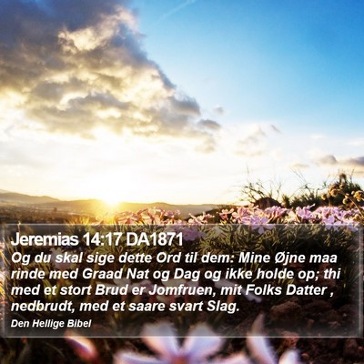 Jeremias 14:17 DA1871 Bible Verse Image