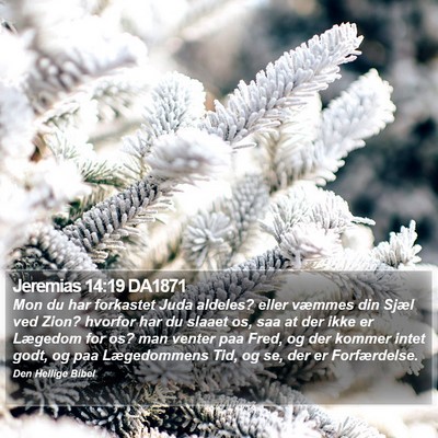 Jeremias 14:19 DA1871 Bible Verse Image