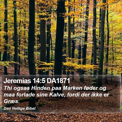 Jeremias 14:5 DA1871 Bible Verse Image