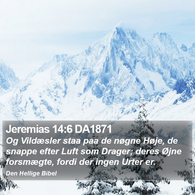 Jeremias 14:6 DA1871 Bible Verse Image