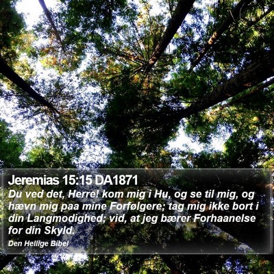 Jeremias 15:15 DA1871 Bible Verse Image
