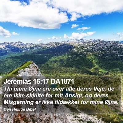 Jeremias 16:17 DA1871 Bible Verse Image