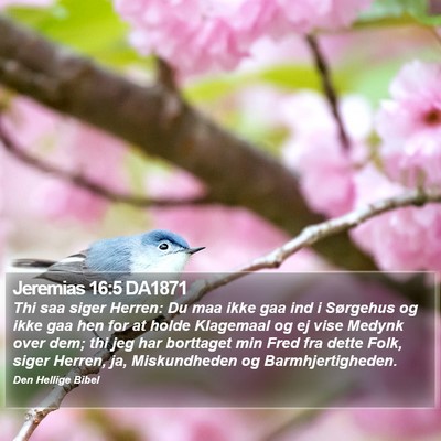 Jeremias 16:5 DA1871 Bible Verse Image