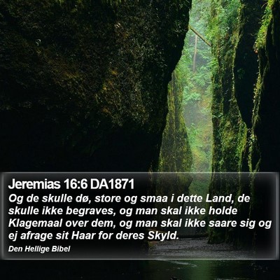 Jeremias 16:6 DA1871 Bible Verse Image