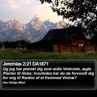 Jeremias 2:21 DA1871 Bible Verse Image