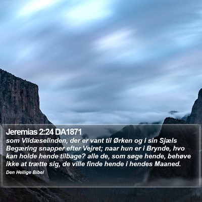Jeremias 2:24 DA1871 Bible Verse Image