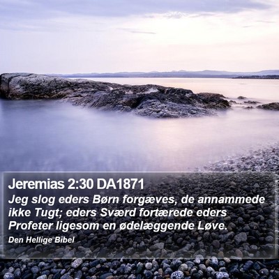 Jeremias 2:30 DA1871 Bible Verse Image