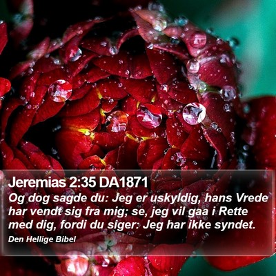 Jeremias 2:35 DA1871 Bible Verse Image