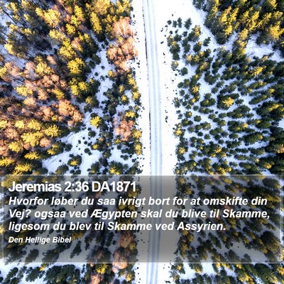Jeremias 2:36 DA1871 Bible Verse Image
