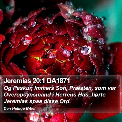 Jeremias 20:1 DA1871 Bible Verse Image