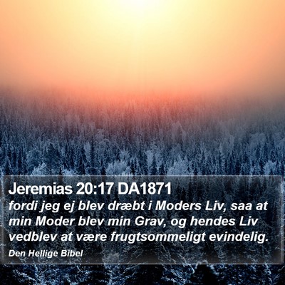 Jeremias 20:17 DA1871 Bible Verse Image