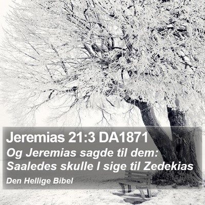 Jeremias 21:3 DA1871 Bible Verse Image