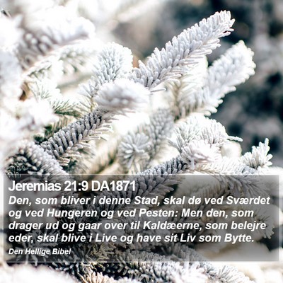 Jeremias 21:9 DA1871 Bible Verse Image