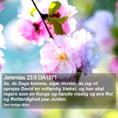 Jeremias 23:5 DA1871 Bible Verse Image