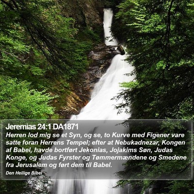 Jeremias 24:1 DA1871 Bible Verse Image