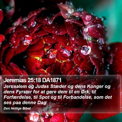 Jeremias 25:18 DA1871 Bible Verse Image