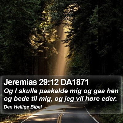 Jeremias 29:12 DA1871 Bible Verse Image