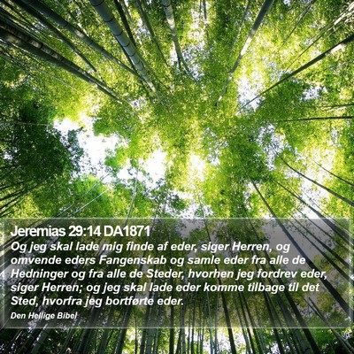 Jeremias 29:14 DA1871 Bible Verse Image