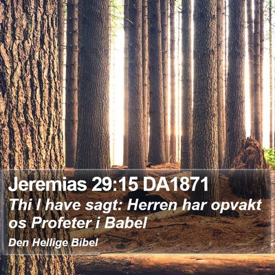 Jeremias 29:15 DA1871 Bible Verse Image