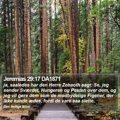Jeremias 29:17 DA1871 Bible Verse Image