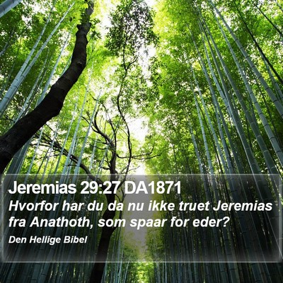 Jeremias 29:27 DA1871 Bible Verse Image