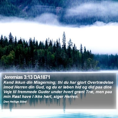 Jeremias 3:13 DA1871 Bible Verse Image