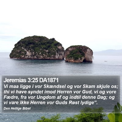 Jeremias 3:25 DA1871 Bible Verse Image