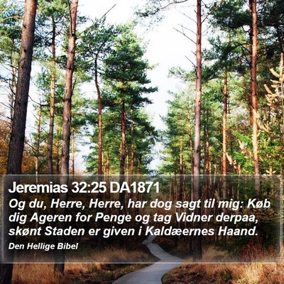 Jeremias 32:25 DA1871 Bible Verse Image