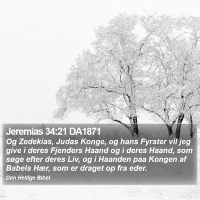 Jeremias 34:21 DA1871 Bible Verse Image