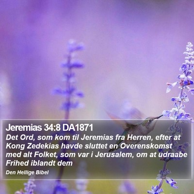 Jeremias 34:8 DA1871 Bible Verse Image