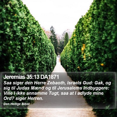 Jeremias 35:13 DA1871 Bible Verse Image