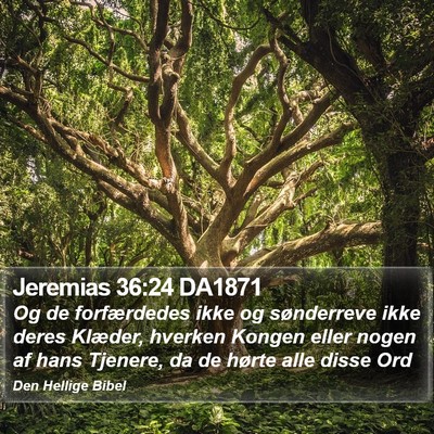Jeremias 36:24 DA1871 Bible Verse Image