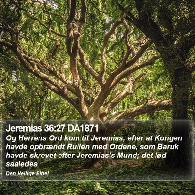 Jeremias 36:27 DA1871 Bible Verse Image