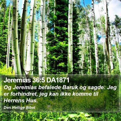 Jeremias 36:5 DA1871 Bible Verse Image
