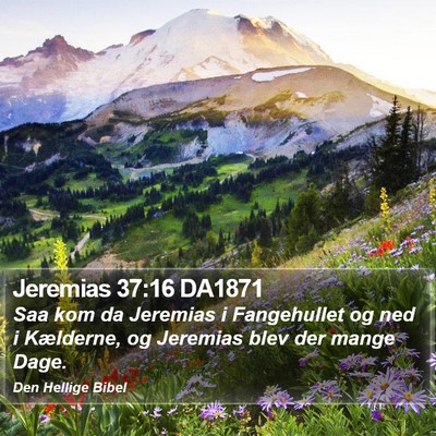 Jeremias 37:16 DA1871 Bible Verse Image