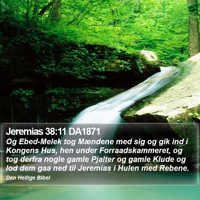 Jeremias 38:11 DA1871 Bible Verse Image