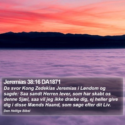 Jeremias 38:16 DA1871 Bible Verse Image