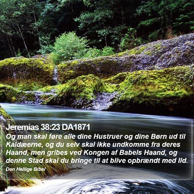 Jeremias 38:23 DA1871 Bible Verse Image
