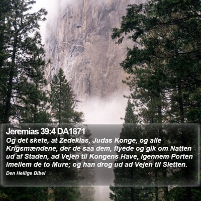 Jeremias 39:4 DA1871 Bible Verse Image