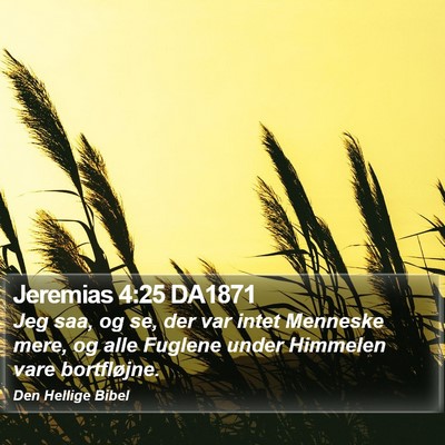 Jeremias 4:25 DA1871 Bible Verse Image
