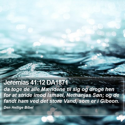 Jeremias 41:12 DA1871 Bible Verse Image