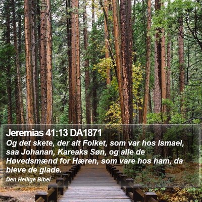 Jeremias 41:13 DA1871 Bible Verse Image