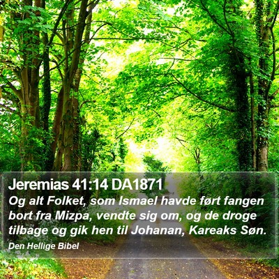 Jeremias 41:14 DA1871 Bible Verse Image