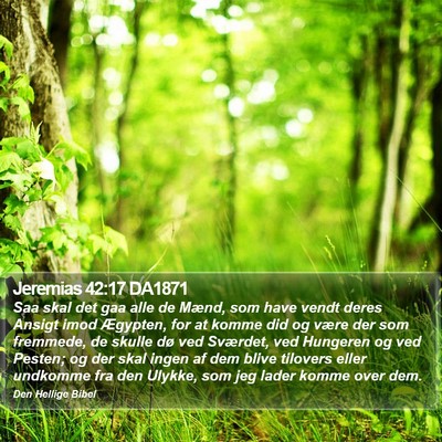 Jeremias 42:17 DA1871 Bible Verse Image