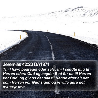Jeremias 42:20 DA1871 Bible Verse Image