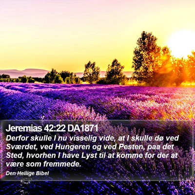 Jeremias 42:22 DA1871 Bible Verse Image